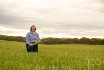 September 2024 / Malinong_SA_-Wheat-2_240925-_Z9C7760