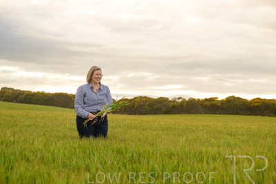 September 2024 / Malinong_SA_-Wheat-2_240925-_Z9C7762