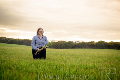 September 2024 / Malinong_SA_-Wheat-2_240925-_Z9C7765