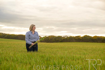 September 2024 / Malinong_SA_-Wheat-2_240925-_Z9C7768