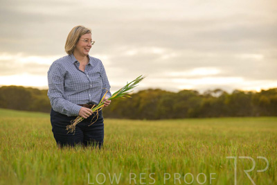 September 2024 / Malinong_SA_-Wheat-2_240925-_Z9C7771
