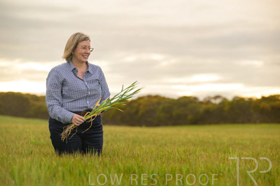 September 2024 / Malinong_SA_-Wheat-2_240925-_Z9C7773