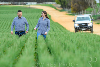 September 2024 / Malinong_SA_-Wheat-3_240925-_Z8C9228