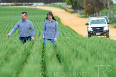 September 2024 / Malinong_SA_-Wheat-3_240925-_Z8C9235