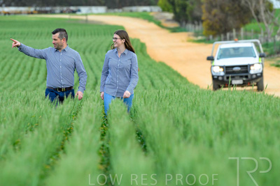 September 2024 / Malinong_SA_-Wheat-3_240925-_Z8C9236