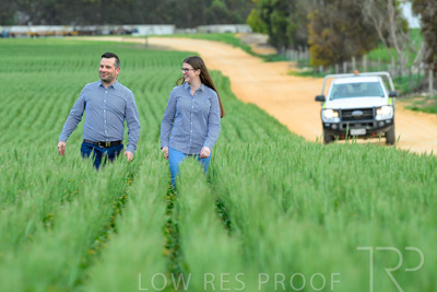 September 2024 / Malinong_SA_-Wheat-3_240925-_Z8C9245