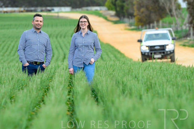 September 2024 / Malinong_SA_-Wheat-3_240925-_Z8C9275