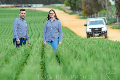 September 2024 / Malinong_SA_-Wheat-3_240925-_Z8C9315