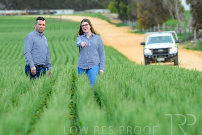 September 2024 / Malinong_SA_-Wheat-3_240925-_Z8C9320