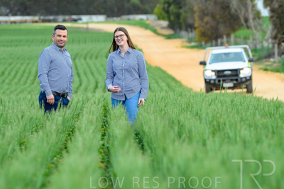 September 2024 / Malinong_SA_-Wheat-3_240925-_Z8C9332