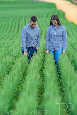 September 2024 / Malinong_SA_-Wheat-3_240925-_Z8C9335