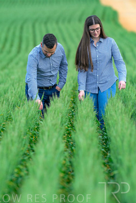 September 2024 / Malinong_SA_-Wheat-3_240925-_Z8C9339