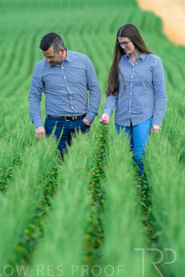 September 2024 / Malinong_SA_-Wheat-3_240925-_Z8C9344