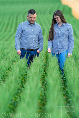 September 2024 / Malinong_SA_-Wheat-3_240925-_Z8C9346