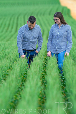 September 2024 / Malinong_SA_-Wheat-3_240925-_Z8C9417