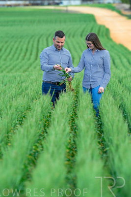 September 2024 / Malinong_SA_-Wheat-3_240925-_Z8C9437