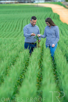 September 2024 / Malinong_SA_-Wheat-3_240925-_Z8C9439