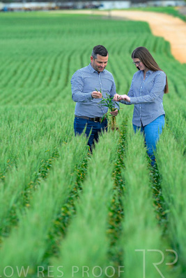 September 2024 / Malinong_SA_-Wheat-3_240925-_Z8C9442