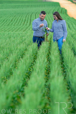 September 2024 / Malinong_SA_-Wheat-3_240925-_Z8C9448