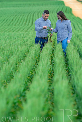 September 2024 / Malinong_SA_-Wheat-3_240925-_Z8C9451