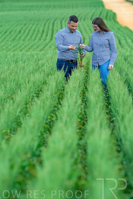 September 2024 / Malinong_SA_-Wheat-3_240925-_Z8C9454