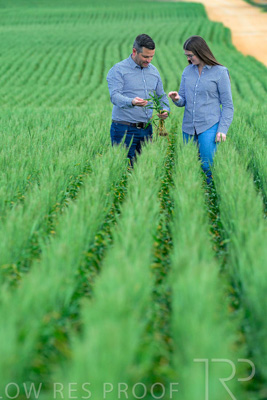 September 2024 / Malinong_SA_-Wheat-3_240925-_Z8C9461