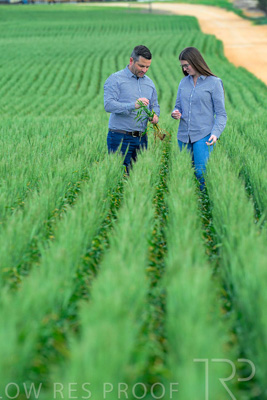 September 2024 / Malinong_SA_-Wheat-3_240925-_Z8C9465