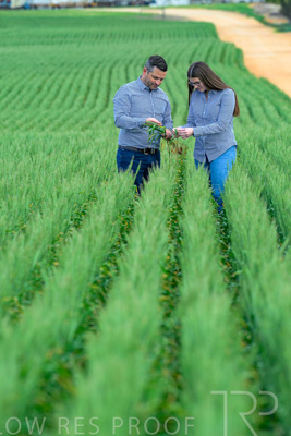 September 2024 / Malinong_SA_-Wheat-3_240925-_Z8C9468
