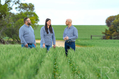 September 2024 / Malinong_SA_-Wheat-3_240925-_Z8C9580