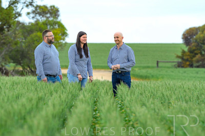 September 2024 / Malinong_SA_-Wheat-3_240925-_Z8C9589