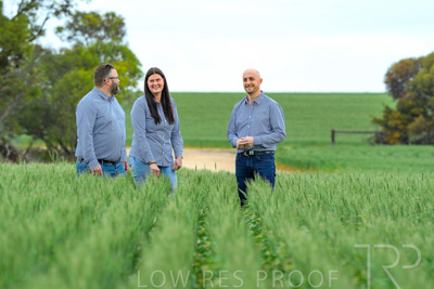 September 2024 / Malinong_SA_-Wheat-3_240925-_Z8C9591