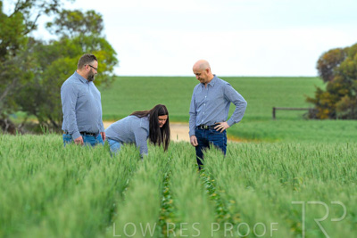 September 2024 / Malinong_SA_-Wheat-3_240925-_Z8C9604