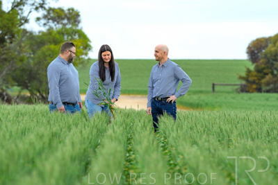 September 2024 / Malinong_SA_-Wheat-3_240925-_Z8C9607