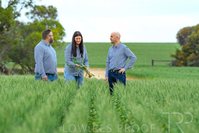September 2024 / Malinong_SA_-Wheat-3_240925-_Z8C9609