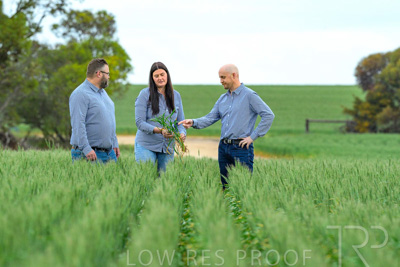 September 2024 / Malinong_SA_-Wheat-3_240925-_Z8C9617