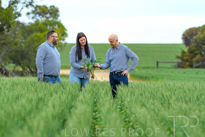 September 2024 / Malinong_SA_-Wheat-3_240925-_Z8C9629