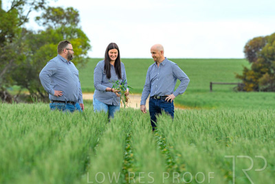 September 2024 / Malinong_SA_-Wheat-3_240925-_Z8C9645