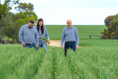 September 2024 / Malinong_SA_-Wheat-3_240925-_Z8C9649