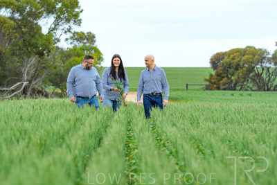 September 2024 / Malinong_SA_-Wheat-3_240925-_Z8C9665