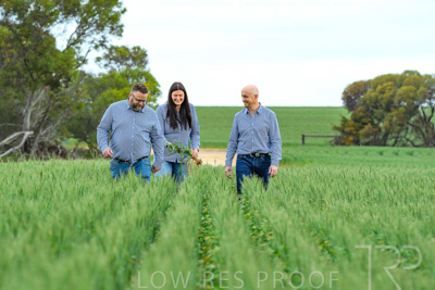 September 2024 / Malinong_SA_-Wheat-3_240925-_Z8C9673