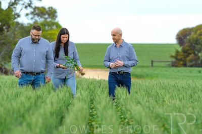 September 2024 / Malinong_SA_-Wheat-3_240925-_Z8C9677