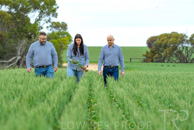 September 2024 / Malinong_SA_-Wheat-3_240925-_Z8C9691