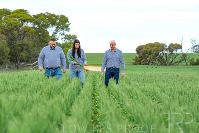 September 2024 / Malinong_SA_-Wheat-3_240925-_Z8C9715