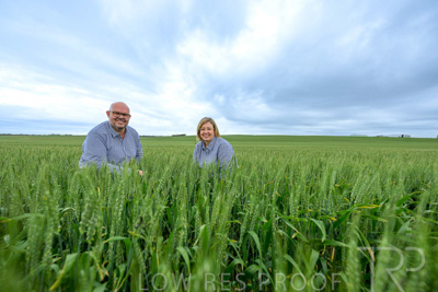 September 2024 / Malinong_SA_-Wheat-3_240925-_Z9C7777