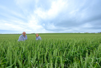 September 2024 / Malinong_SA_-Wheat-3_240925-_Z9C7787