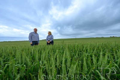 September 2024 / Malinong_SA_-Wheat-3_240925-_Z9C7832