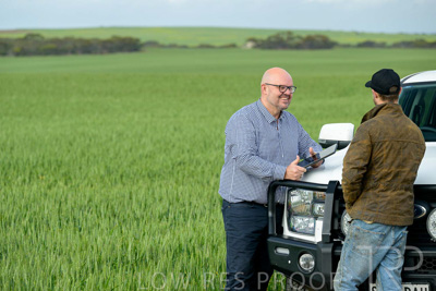 September 2024 / Malinong_SA_-Wheat-4_240925-_Z9C7931