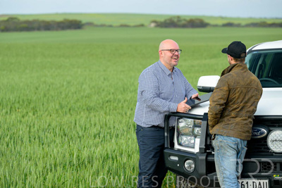 September 2024 / Malinong_SA_-Wheat-4_240925-_Z9C7950