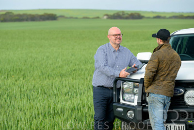 September 2024 / Malinong_SA_-Wheat-4_240925-_Z9C7962