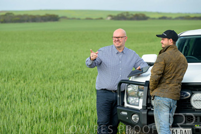 September 2024 / Malinong_SA_-Wheat-4_240925-_Z9C7964